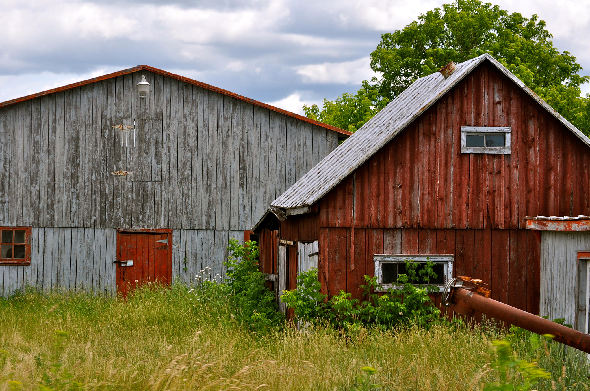 Country side